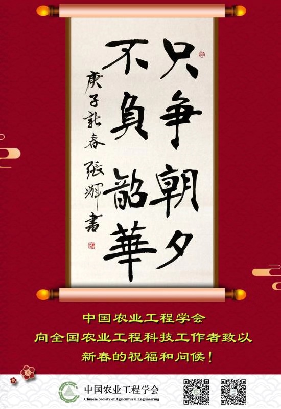 只争朝夕 不负韶华.jpg